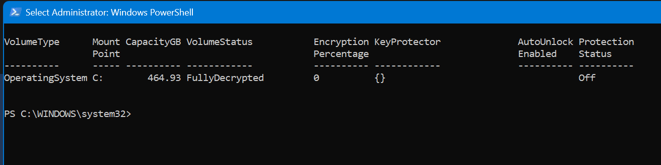 BitLocker Audit Result